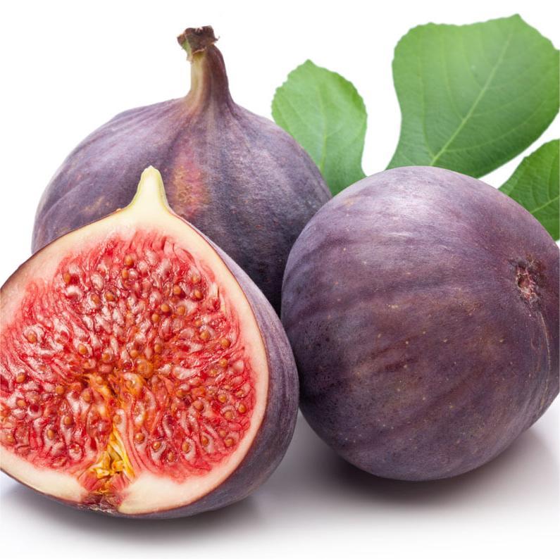 Semena fig SweetHarvest-SI