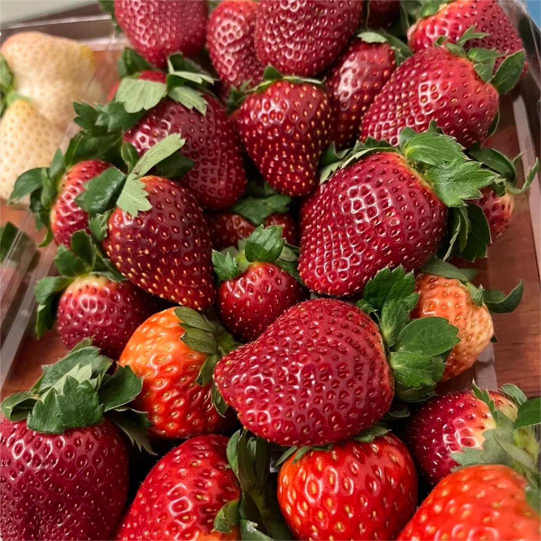 Juodųjų perlų braškių sėklos-LT