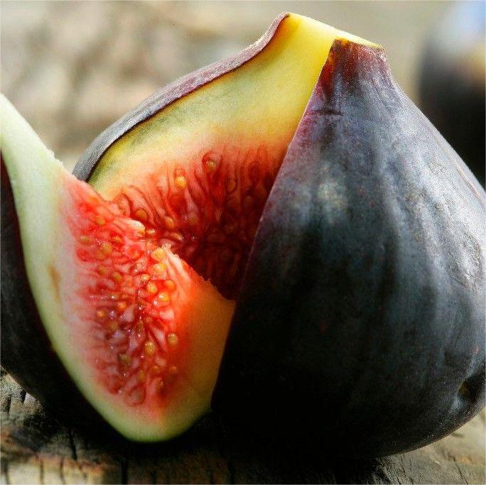 Σπόροι Σύκου SweetHarvest-GR