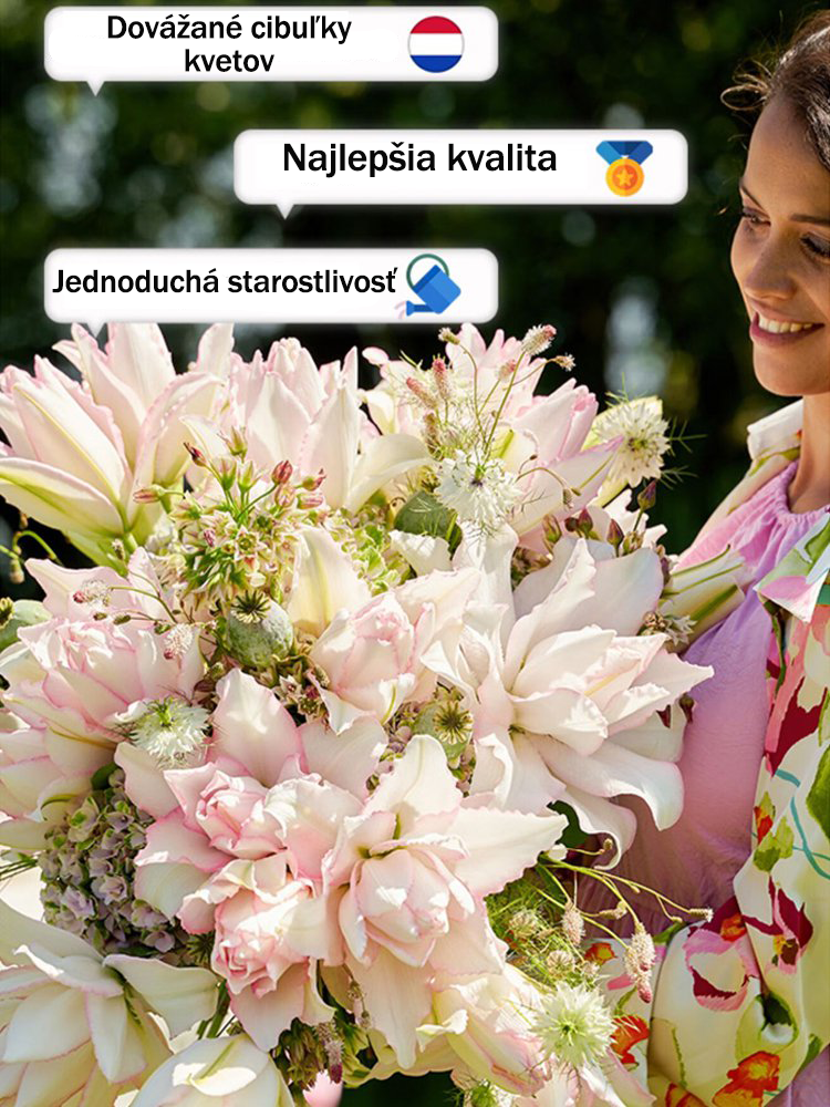 [Voňavejšie ako parfum]Cibuľky ľalií Four Seasons voňajú tisíce kilometrov ďaleko, kvitnú každý rok-SK