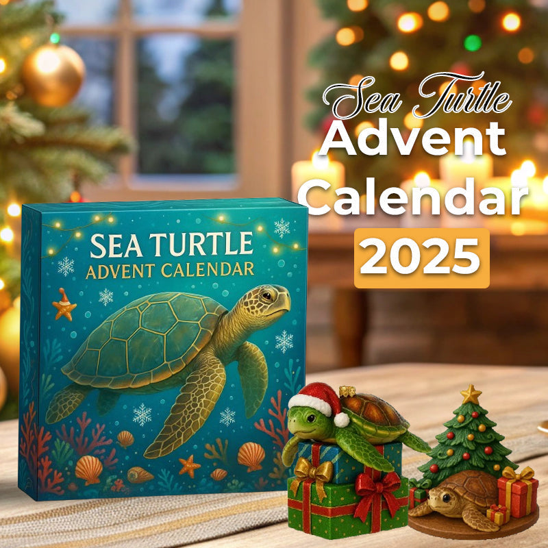 🌊🐢 Adventni koledar morskih želv 2025-SI