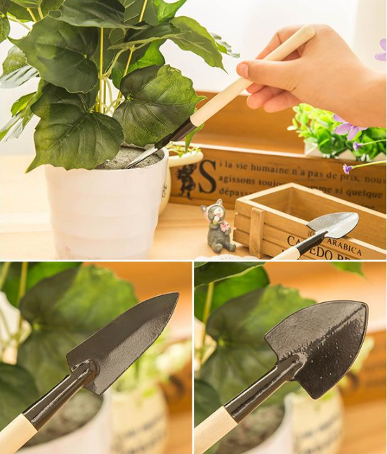 Γιγάντιοι σπόροι σταφυλιού: Χωρίς κουκούτσια, ζουμεροί, γιγάντιοι-GR