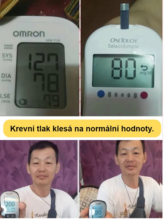 Rodinné črepníkové plody ženšenu patentované semená-SK