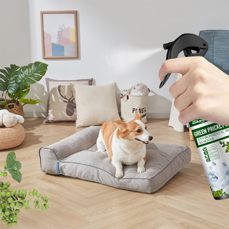 ⚡Ribotas išpardavimas Pirkite 2, gaukite 1 nemokamai⚡-🧑‍⚕️Stiprus dulkių erkučių šalinimo purškiklis-LT