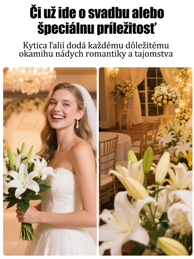 [Voňavejšie ako parfum]Cibuľky ľalií Four Seasons voňajú tisíce kilometrov ďaleko, kvitnú každý rok-SK