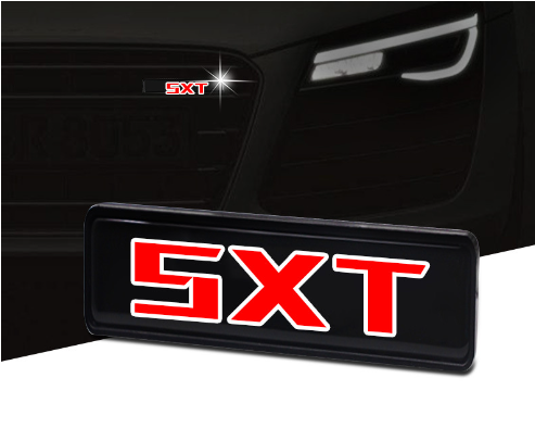 Venta caliente ✨50% de descuento ✨Lámpara LED elegante y atmosférica con logotipo para la parrilla central de su automóvil-ES