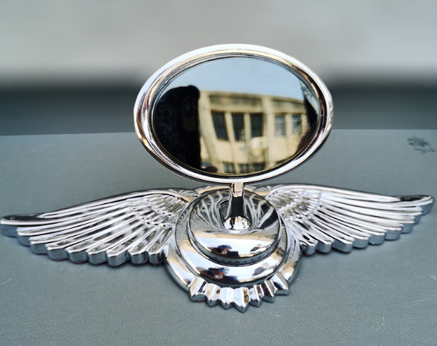 Automobilio modifikavimo dekoravimo gaubto logotipas-LT