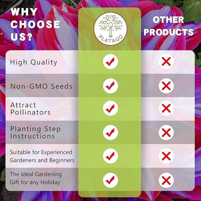 🌿 Σπάνιοι βολβοί Hosta🎁 Ειδική προσφορά 2025-GR
