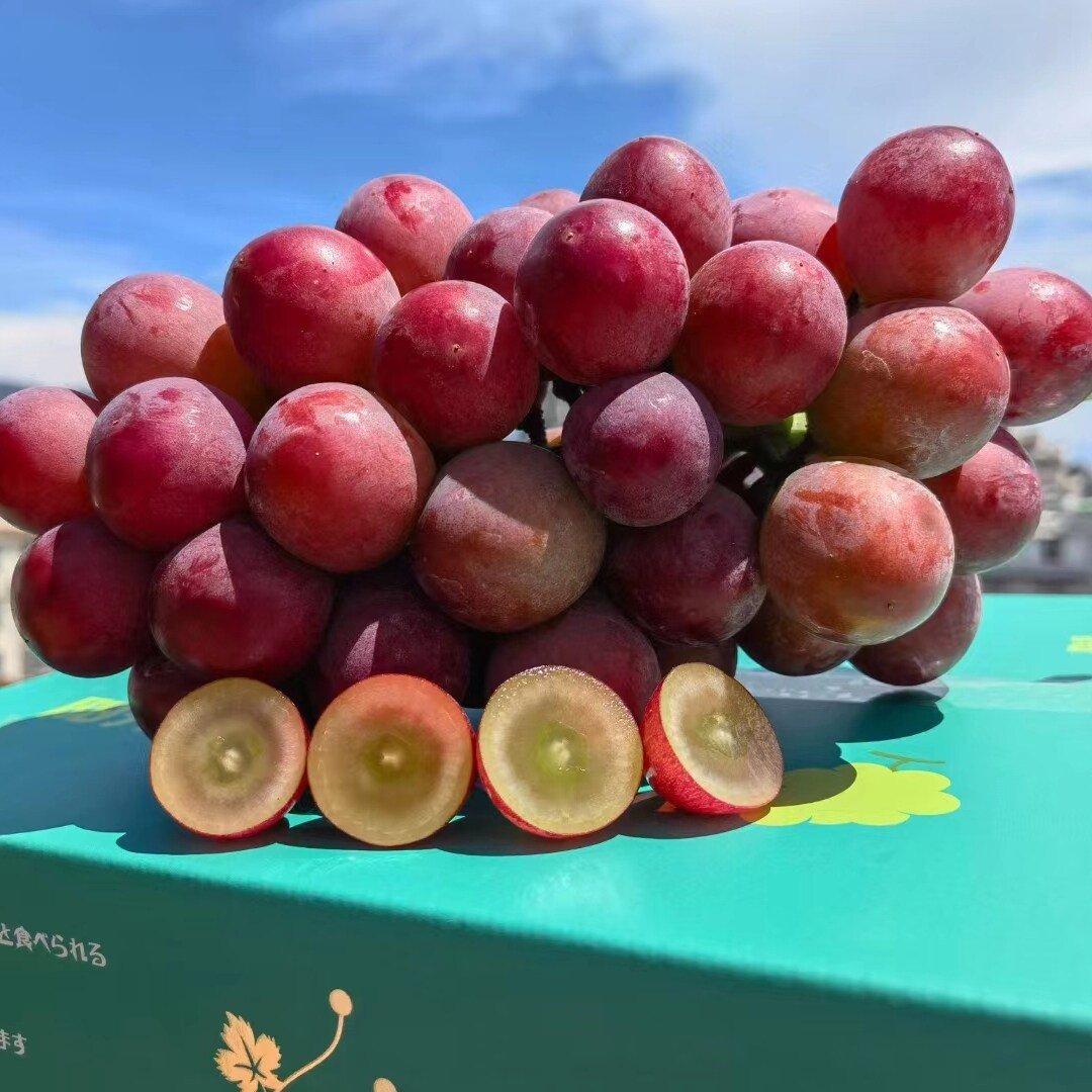 Riboto leidimo nauja veislė – „Queen Nina“ vynuogių sėklos saldžiam, sultingam sodo derliui 🍇-LT