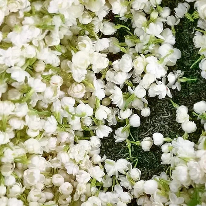 POSLEDNÁ DEŇ ZĽAVA 35% 🌸 Črepníková rastlina jazmín (🌱Zaručené prežitie: Bezplatná výmena🌿)-SK