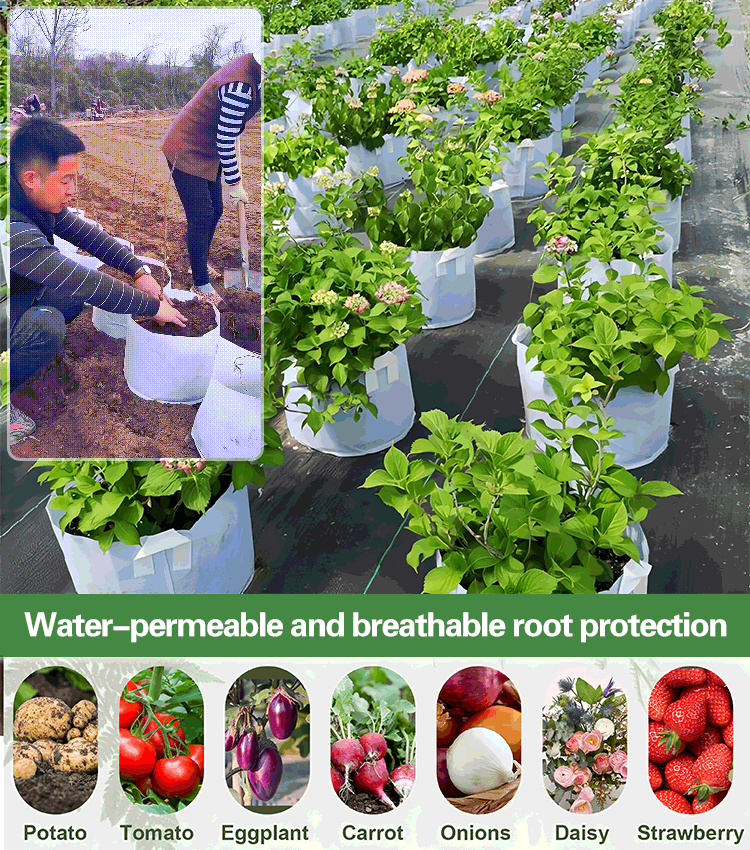 【10 piezas】🌱Bolsas de cultivo para vegetales, flores y plantas de 3/4/5/7/10 galones, bolsas de cultivo resistentes no tejidas-ES