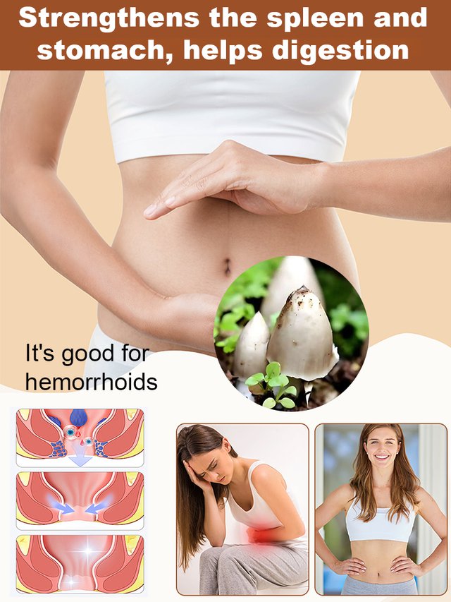 Αυθεντική ποικιλία μανιταριών "Jizong"-GR