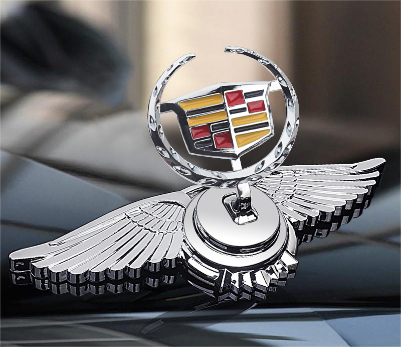 Automobilio modifikavimo dekoravimo gaubto logotipas-LT