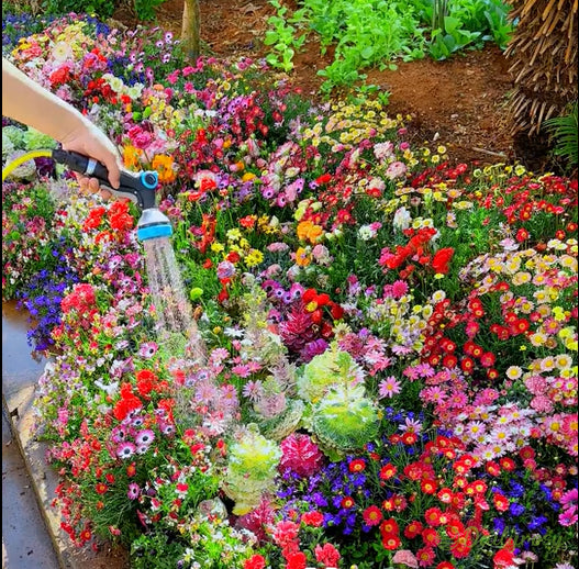 🔥Último día de venta💐Semillas de flores perennes mixtas: más de 60 variedades mixtas-ES