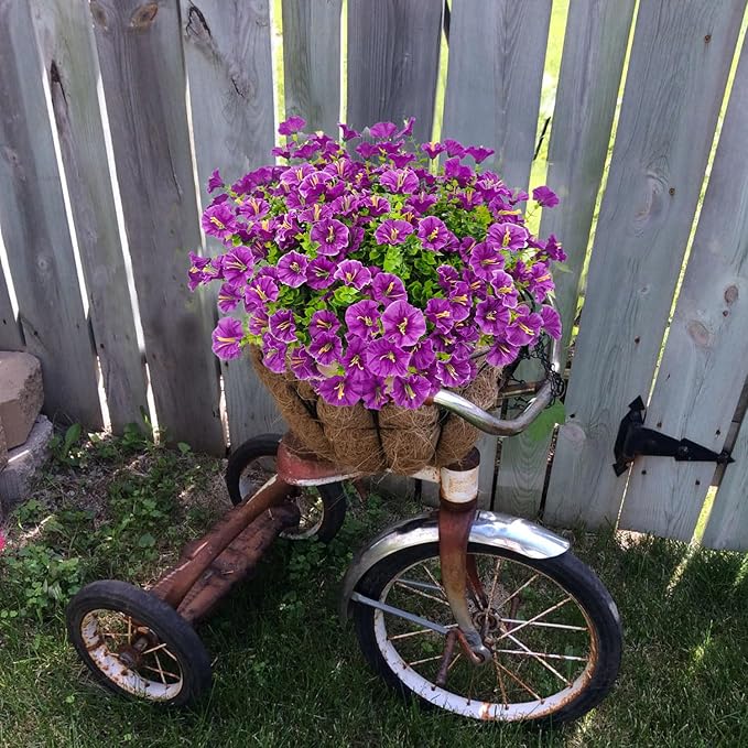 💥Patobulinta aukščiausios kokybės medžiaga 🌸UV spinduliams atspari ir neblunkanti vijuolė (be vazono)-LT