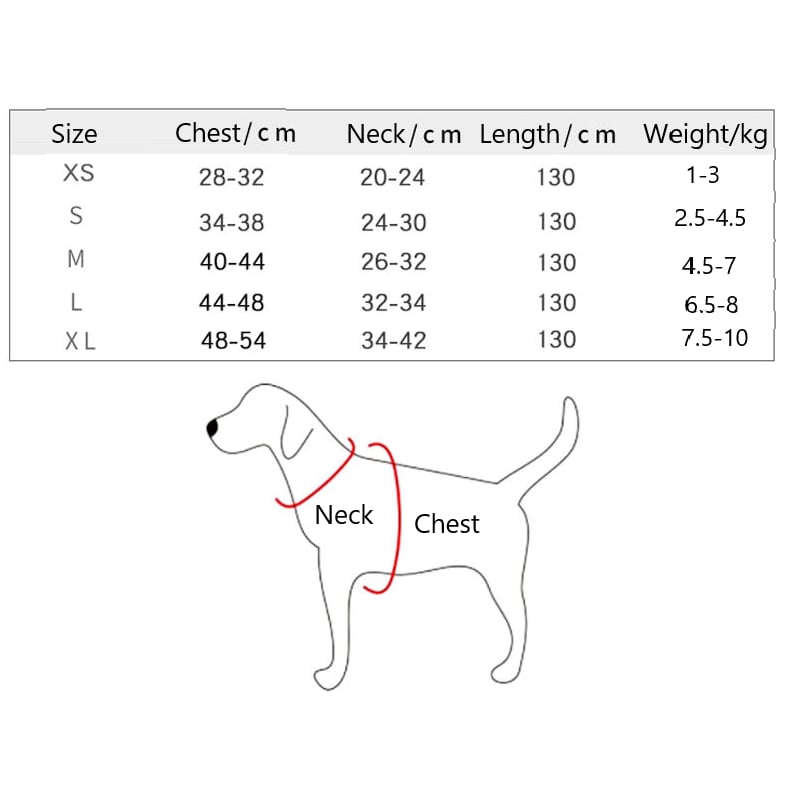Correa para mascotas con correa para el pecho y cinturón.-ES