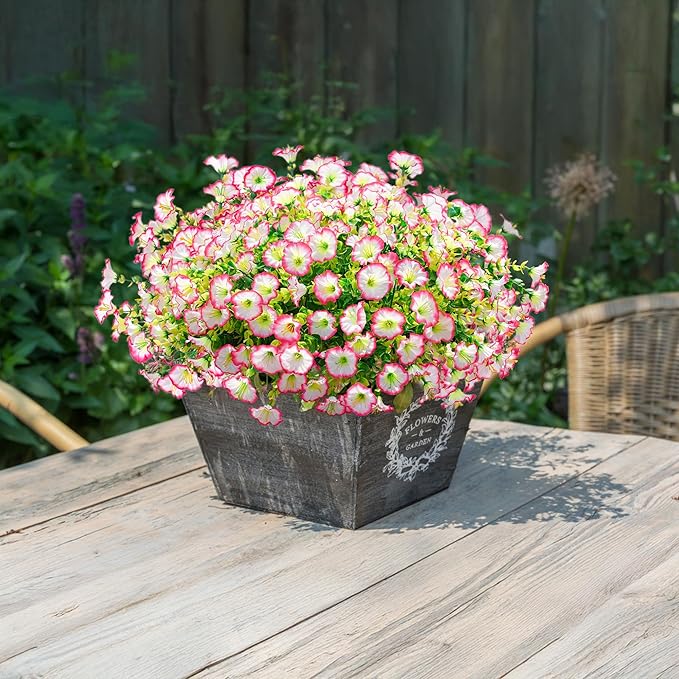 💥Patobulinta aukščiausios kokybės medžiaga 🌸UV spinduliams atspari ir neblunkanti vijuolė (be vazono)-LT