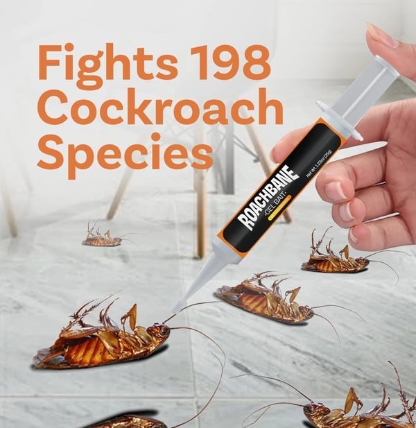 🔥¡Gran oferta! - 49% de descuento🔥 Cebo en gel RoachBane (Nueva fórmula mejorada)-ES