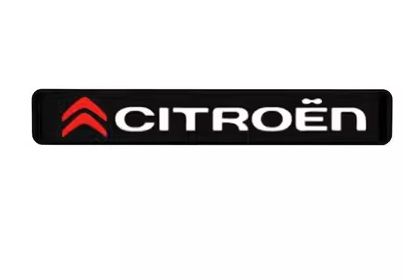 Venta caliente ✨50% de descuento ✨Lámpara LED elegante y atmosférica con logotipo para la parrilla central de su automóvil-ES