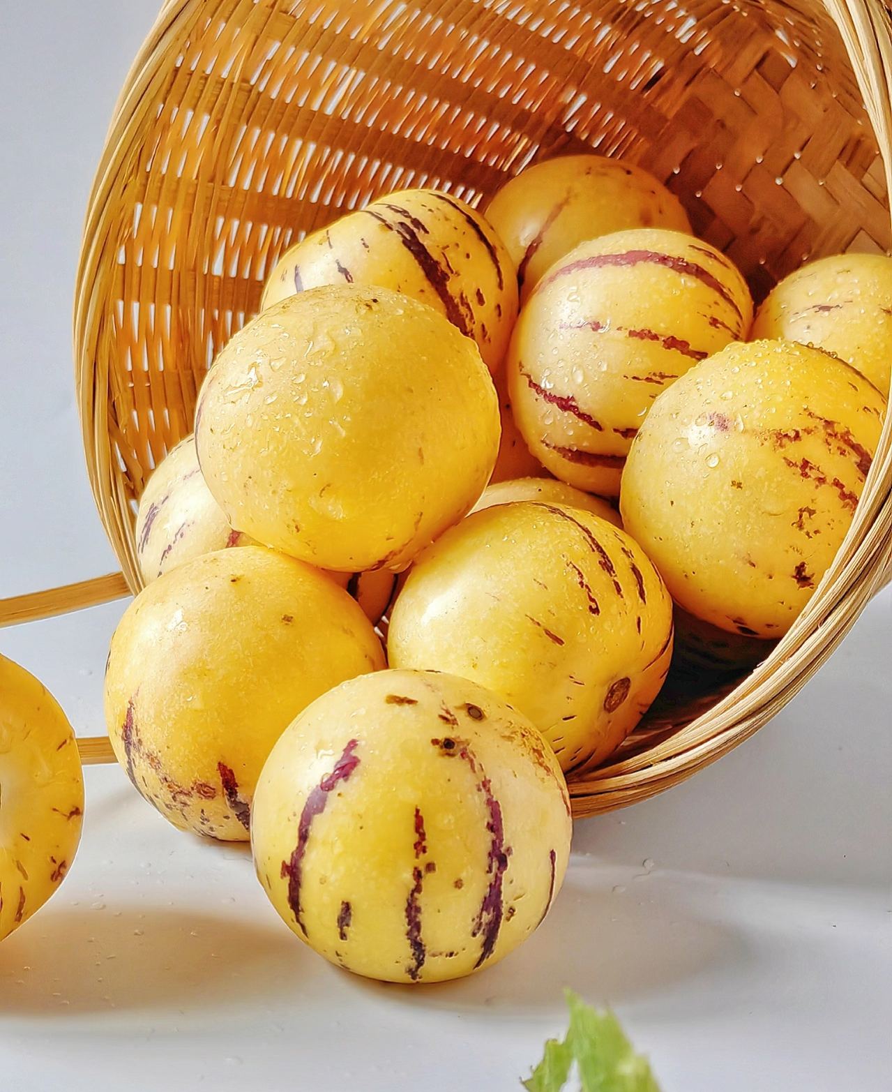 🏆 Prodano preko 75 000 pakiranja! 🌿Sjemenke ginsenga - lako se uzgajaju🌱 (Ograničeno vrijeme: bez gnojiva)-HR