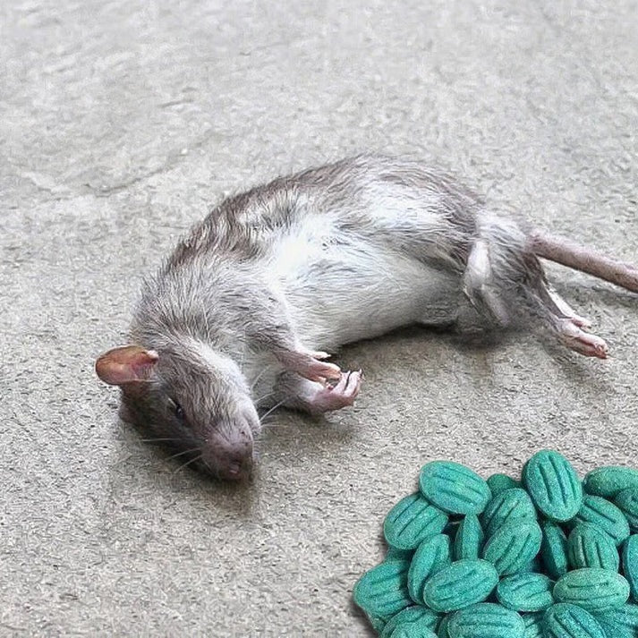 ✨Εξαιρετικά αποτελεσματικό δόλωμα για τρωκτικά✨🔥 ΑΓΟΡΑΣΤΕ 1, ΠΑΡΤΕ 1 ΔΩΡΕΑΝ! 🔥-GR