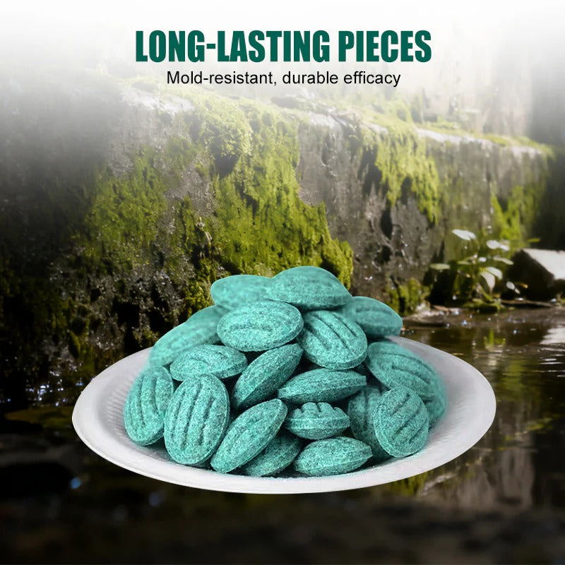 ✨Εξαιρετικά αποτελεσματικό δόλωμα για τρωκτικά✨🔥 ΑΓΟΡΑΣΤΕ 1, ΠΑΡΤΕ 1 ΔΩΡΕΑΝ! 🔥-GR