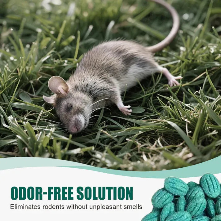 ✨Εξαιρετικά αποτελεσματικό δόλωμα για τρωκτικά✨🔥 ΑΓΟΡΑΣΤΕ 1, ΠΑΡΤΕ 1 ΔΩΡΕΑΝ! 🔥-GR