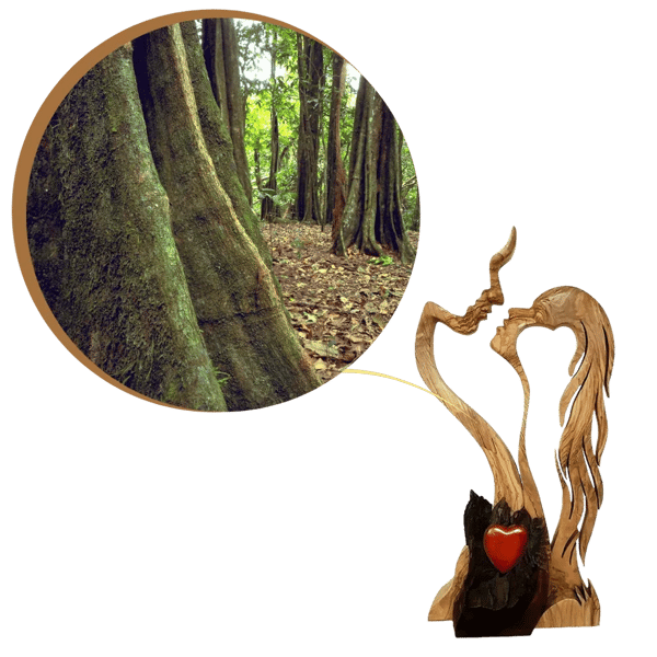 Pora mėgsta medinius dekoravimo papuošalus, kūrybinį dekoratyvinį meną-LT