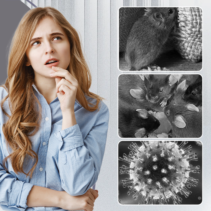 Zelo velike pasti za podgane z lepilom-SI