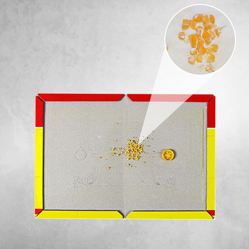 Zelo velike pasti za podgane z lepilom-SI